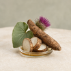 Arctium Lappa (Burdock Root)