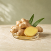 Ginger Extract