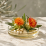 Safflower Extract